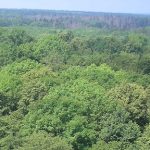 Im nordrhein-westfälischen Kreis Siegen-Wittgenstein wurde ein neuer Windpark in einem Waldgebiet in Betrieb genommen.