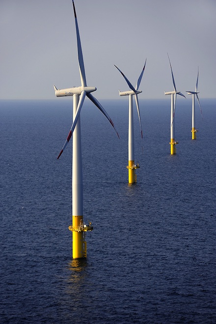 Windpark Baltic 1: Der Rendsburger Appell gibt an die Politik mehrere Empfehlungen