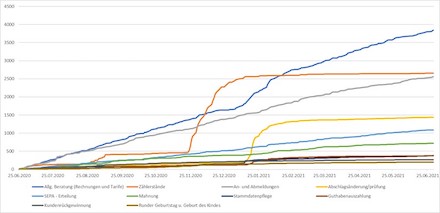 Das Diagramm stellt die Top 10 Anfragen kumulativ über das Jahr dar.