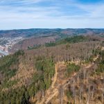 Geplanter Bürgerwindpark: Bis zu 15 Windräder sollen auf dem Lammerskopf errichtet werden.