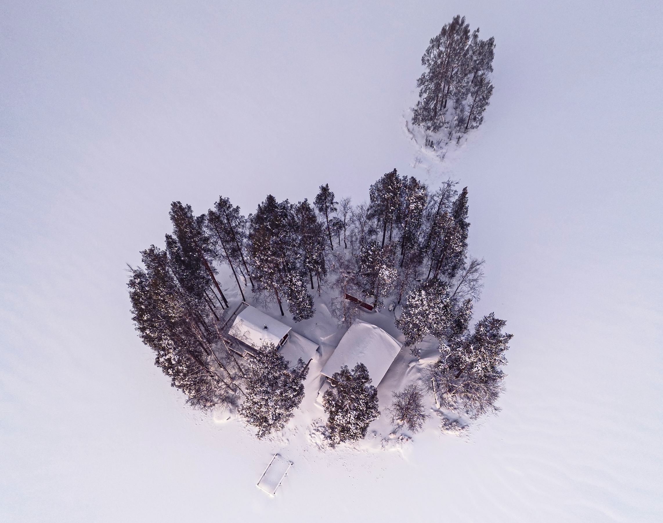 Blick von oben auf eine verschneite Hütte umgeben von Bäumen