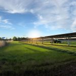 Visualisierung des Agri-Solarparks in Münster-Amelsbüren mit aufgeständerten Solarmodulen über landwirtschaftlicher Fläche; darunter wächst Getreide, ein Traktor fährt zwischen den Modulreihen bei tief stehender Sonne.