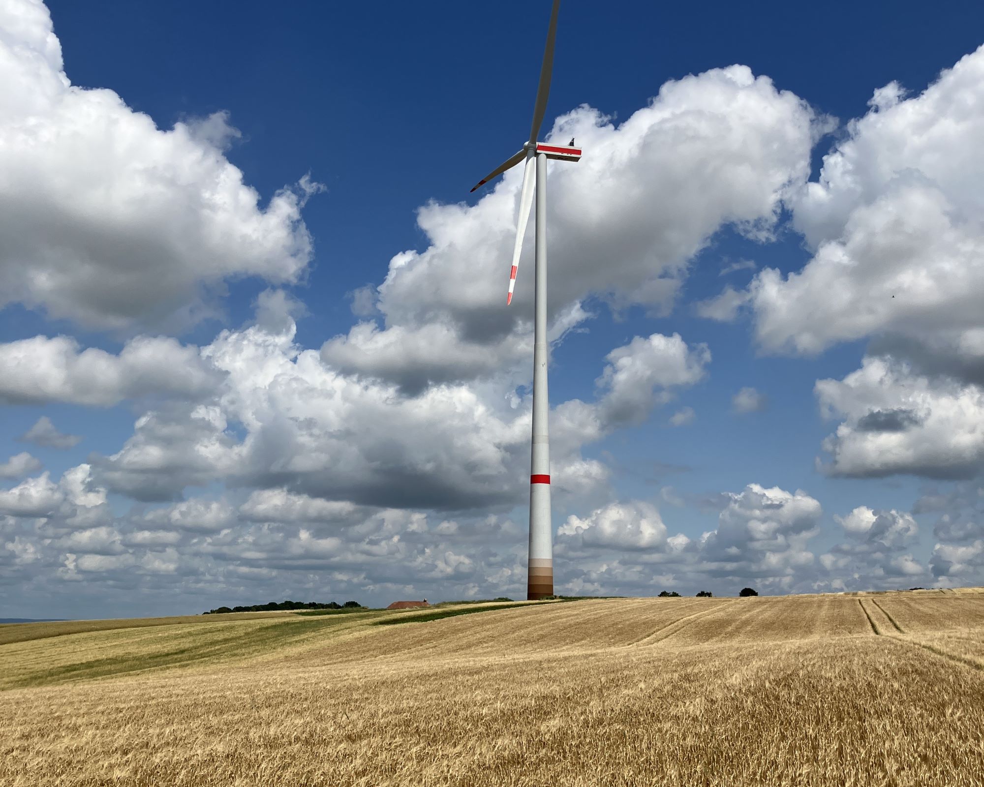 Einzelne Windkraftanlage auf einer leicht hügeligen, abgeernteten Feldfläche. Der hohe Turm mit rot-weißen Markierungen ragt in einen blauen Himmel mit großen, weißen Wolken. Die Landschaft wirkt weit und offen, im Vordergrund erstreckt sich ein goldenes Getreidefeld.